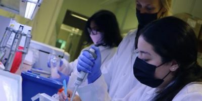 Qatar (Hamad Bin Khalifa University) QBRI Opens Summer Research Program Applications